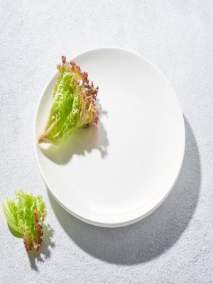 10" Classic Coupe Plate