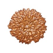 13BurntOrangeChargerNeutral4341jpg