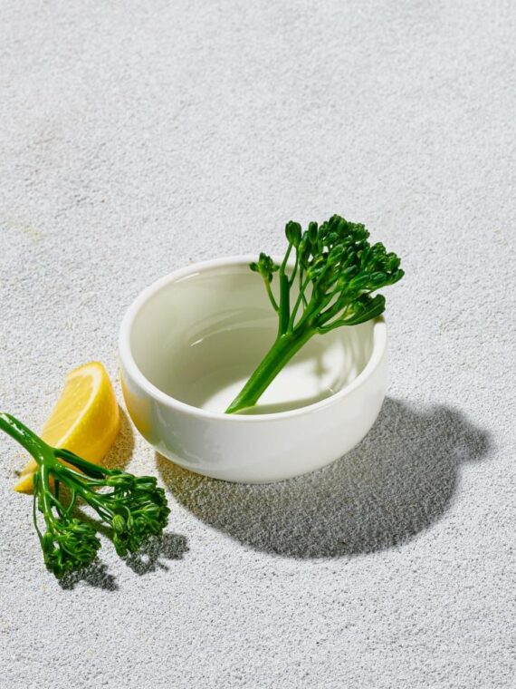 2.5" White Mini Smooth Artika Bowl