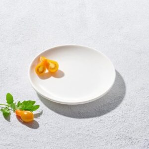 6" Classic Coupe Plate