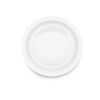 10" White Thin Rim Plate
