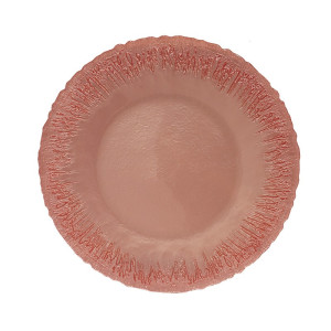 Silver Glitter Soft Salmon Charger