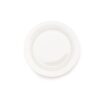10" White Classic Plate